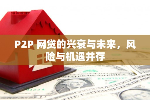 丰满P2P 网贷的兴衰与未来，风险与机遇并存