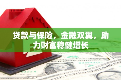 丰满贷款与保险，金融双翼，助力财富稳健增长