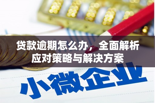 丰满贷款逾期怎么办，全面解析应对策略与解决方案