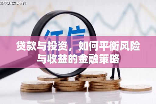 丰满贷款与投资，如何平衡风险与收益的金融策略