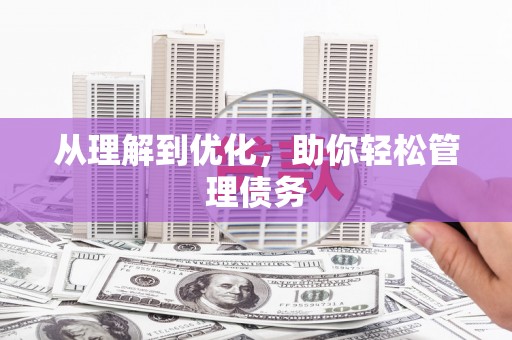 丰满从理解到优化，助你轻松管理债务