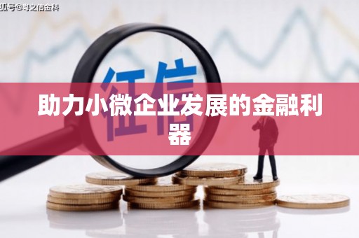 丰满助力小微企业发展的金融利器