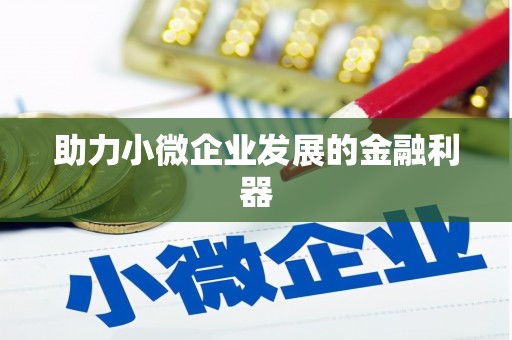 丰满助力小微企业发展的金融利器
