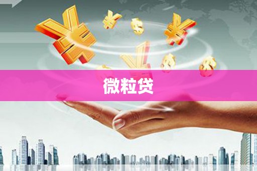 丰满微粒贷