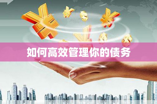 丰满如何高效管理你的债务