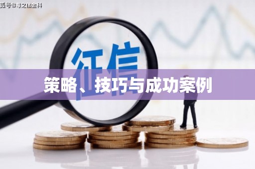 丰满策略、技巧与成功案例