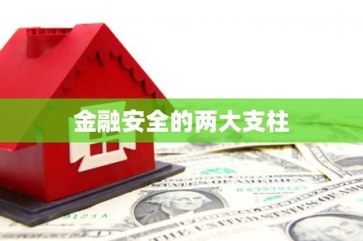 丰满金融安全的两大支柱