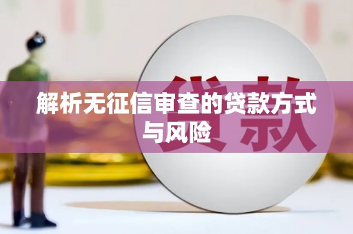 丰满解析无征信审查的贷款方式与风险