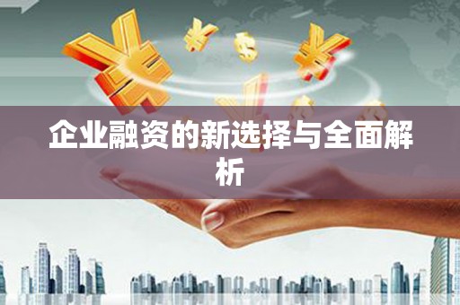 丰满企业融资的新选择与全面解析
