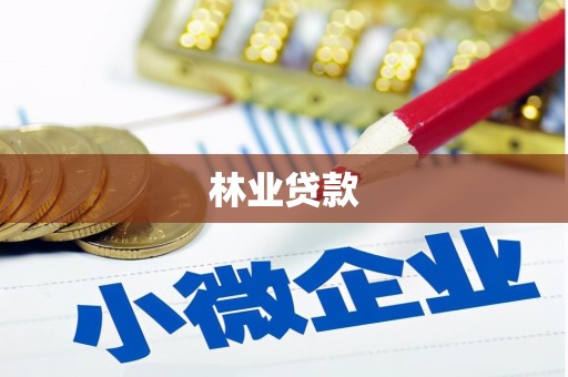 丰满林业贷款