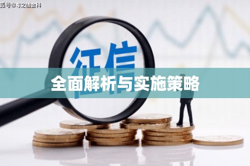 丰满全面解析与实施策略