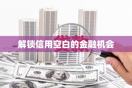 丰满解锁信用空白的金融机会