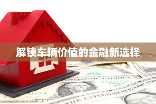 丰满解锁车辆价值的金融新选择