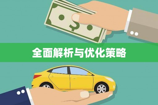丰满全面解析与优化策略
