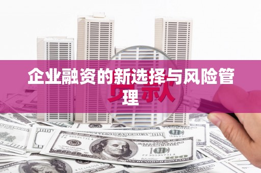 丰满企业融资的新选择与风险管理
