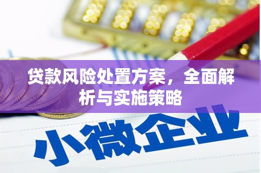 丰满贷款风险处置方案，全面解析与实施策略