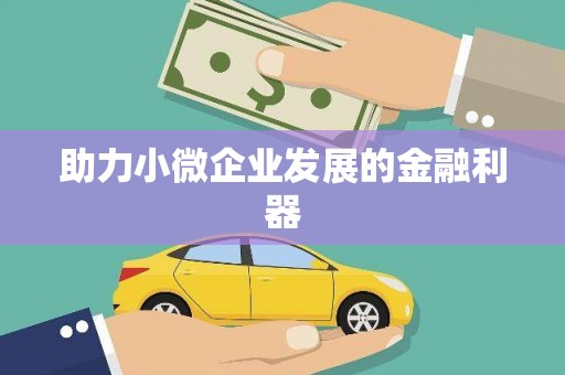 丰满助力小微企业发展的金融利器