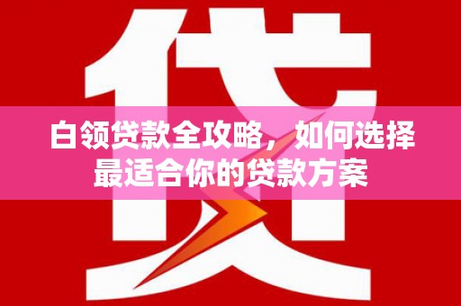 丰满白领贷款全攻略，如何选择最适合你的贷款方案