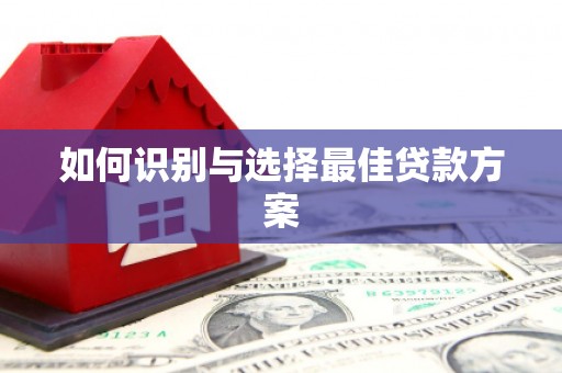 丰满如何识别与选择最佳贷款方案