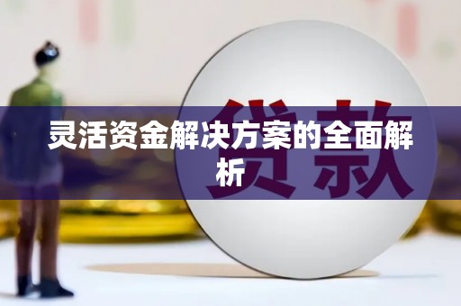 丰满灵活资金解决方案的全面解析