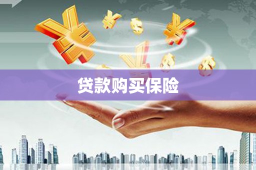 丰满贷款购买保险