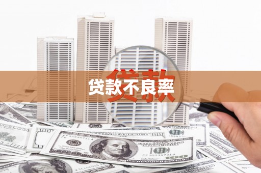 丰满贷款不良率
