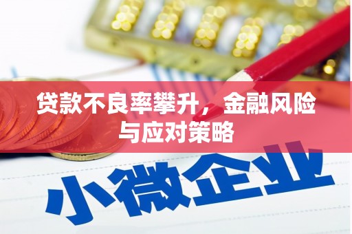 丰满贷款不良率攀升，金融风险与应对策略